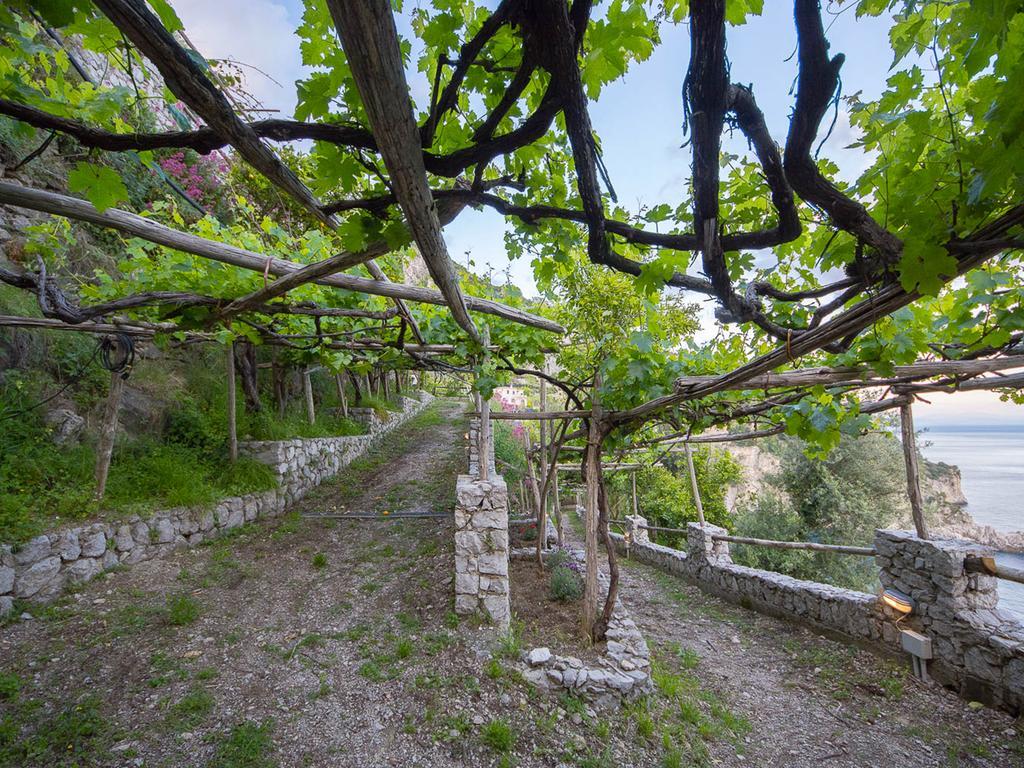 Cannaverde - Amalfi Coast Camp Villa Maiori Bagian luar foto