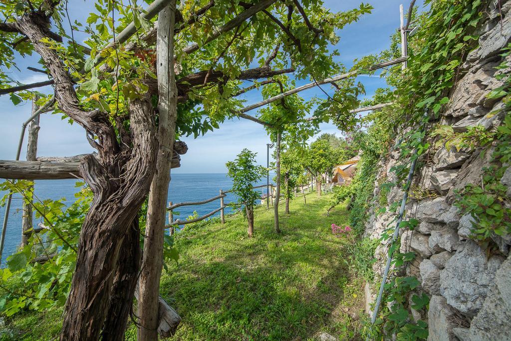 Cannaverde - Amalfi Coast Camp Villa Maiori Bagian luar foto